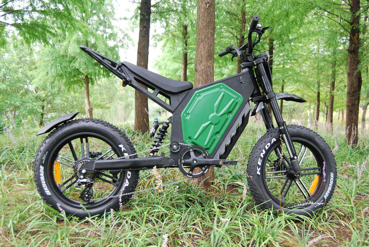 E bike1000w 60v 20Ah fat tires Green only